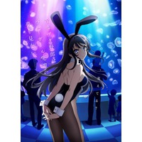 Rascal Does Not Dream of Bunny Girl Senpai