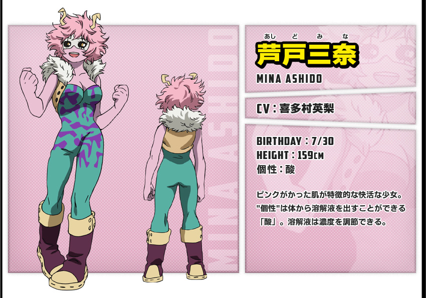 mina's hero costume
