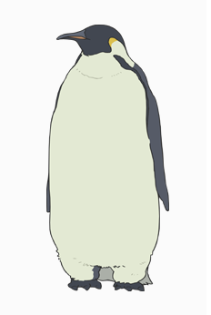 Penguin From Polar Bear S Cafe