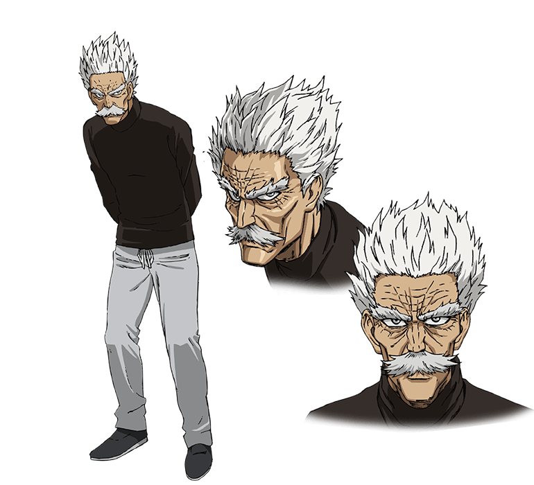 Silver Fang From One Punch Man