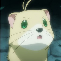 Yuuno Scrya (Ferret)